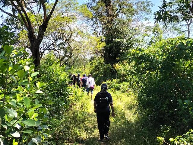A group of walkers following a sunlit grassy path between trees and green bushes